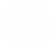 logo icon