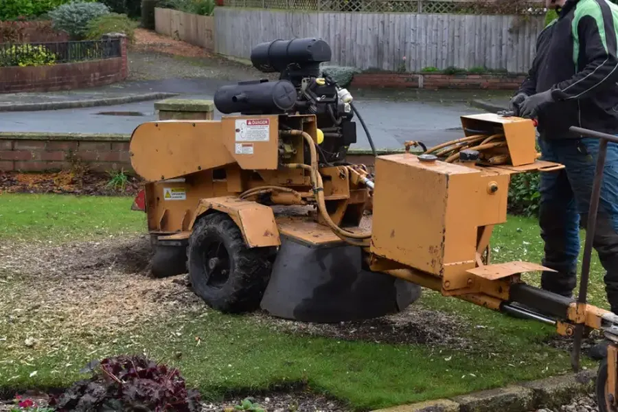 Affordable Tree Stump Grinding Richland Hills, TX