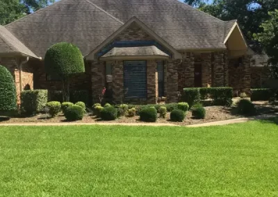 Excellent Tree Removal