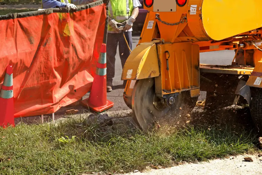 Expert Tree Stump Grinding Richland Hills, TX