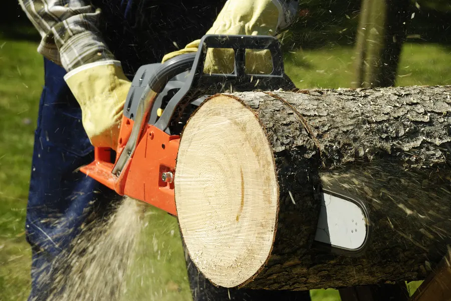 How Tree Cutting Enhances Property Safety And Aesthetics Richland Hills, TX