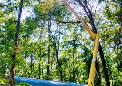 Outstanding Tree Expert