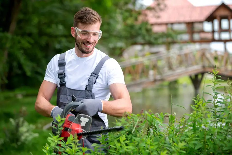 Premium Shrub Trimming Richland Hills, TX