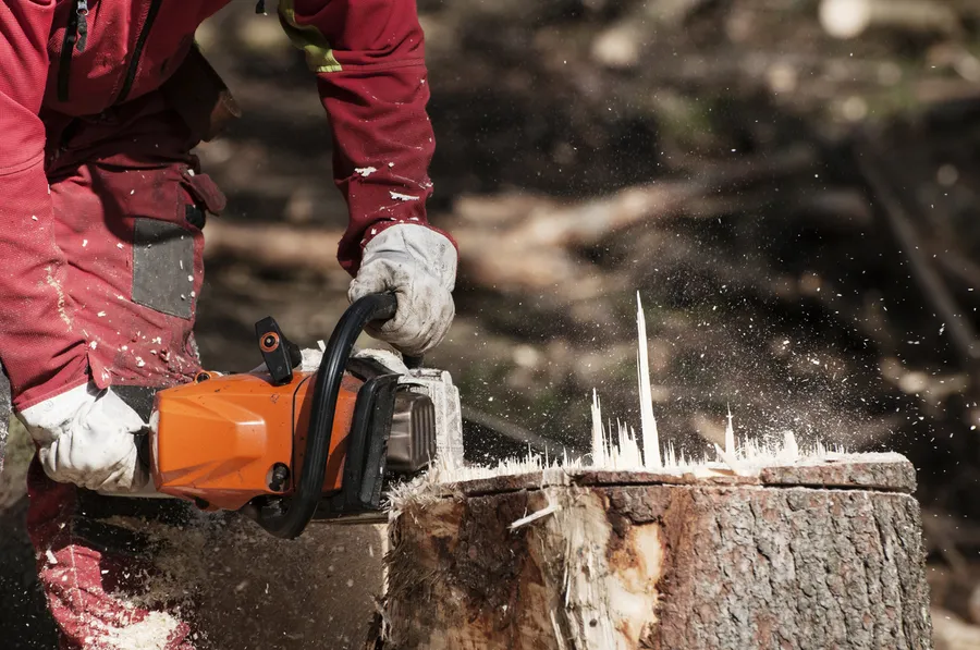 Professional Tree Cutting Richland Hills, TX