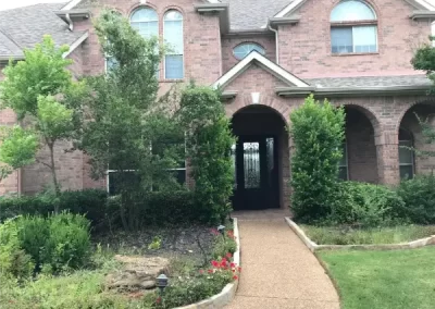 Professional Tree Specialist