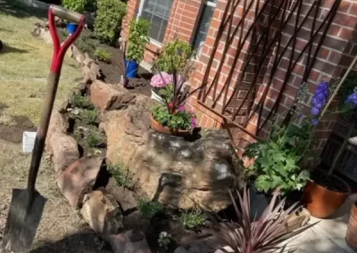Professional Tree Specialist