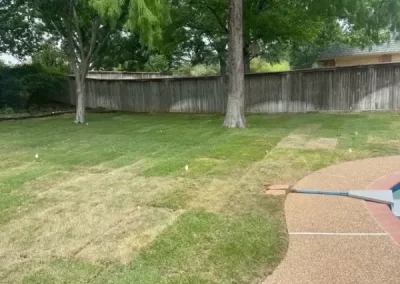 Professional Tree Specialist