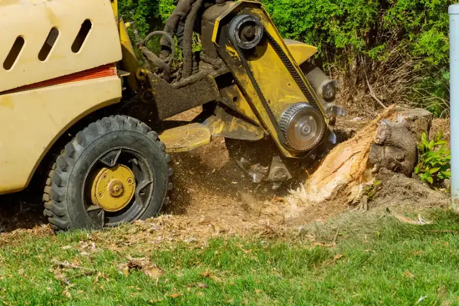 Superior Tree Stump Grinding Richland Hills, TX