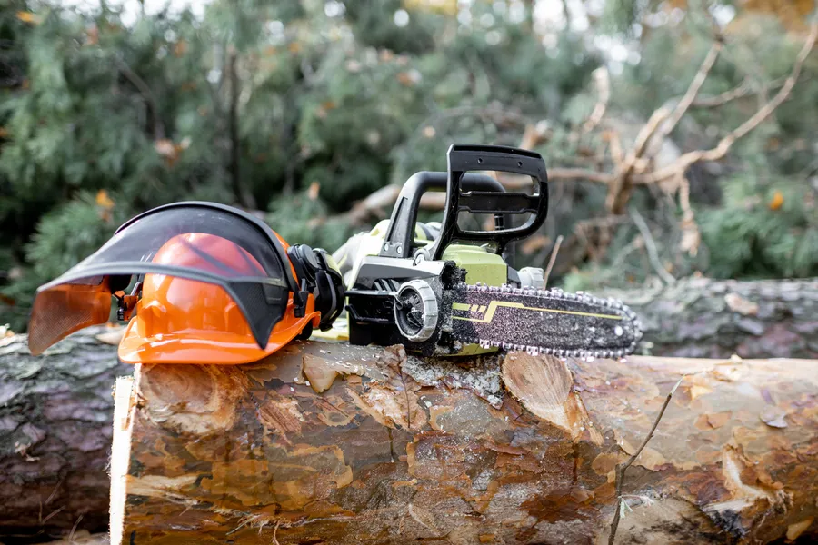 Tree Cutting Services For Managing Overgrown Trees in Richland Hills, TX