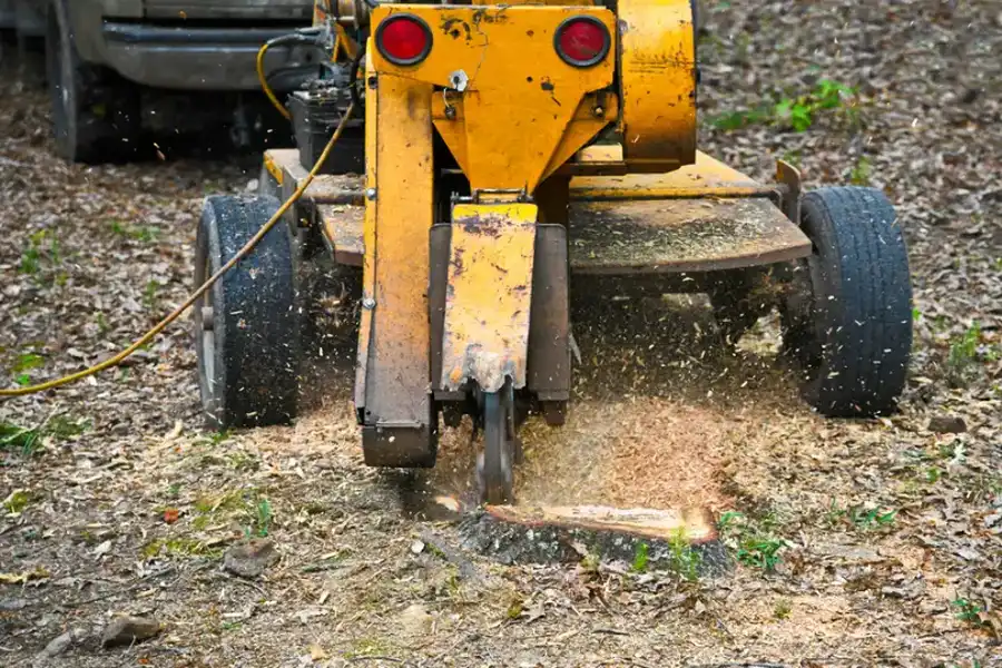 Why Tree Stump Grinding Is Important For Your Landscape Richland Hills, TX
